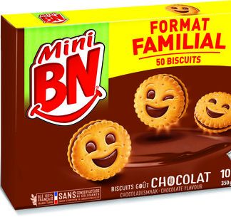 MINI BN Chocolat — MS Bhai Bhai Enterprise