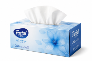 Facial Tissue Box — MS Bhai Bhai Enterprise